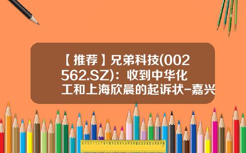 【推荐】兄弟科技(002562.SZ)：收到中华化工和上海欣晨的起诉状-嘉兴中华化工有限责任公司