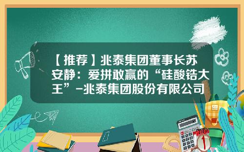 【推荐】兆泰集团董事长苏安静：爱拼敢赢的“硅酸锆大王”-兆泰集团股份有限公司