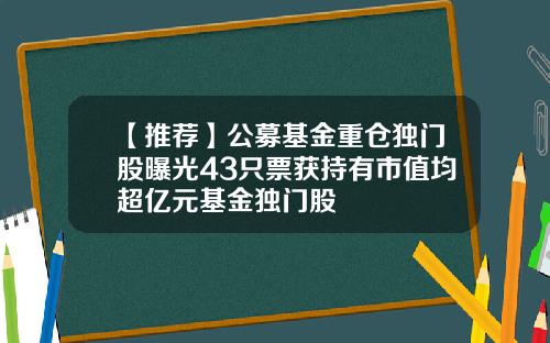【推荐】公募基金重仓独门股曝光43只票获持有市值均超亿元基金独门股