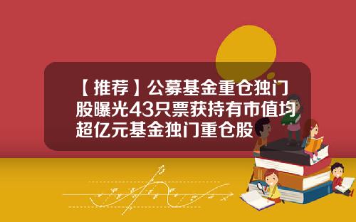 【推荐】公募基金重仓独门股曝光43只票获持有市值均超亿元基金独门重仓股