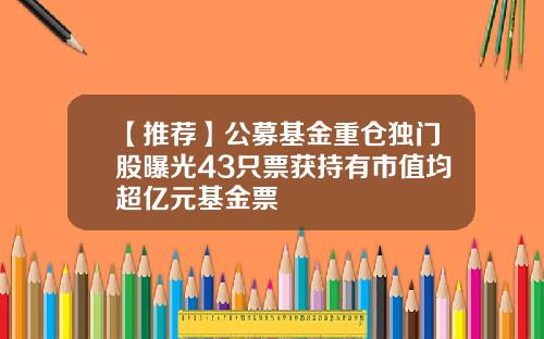 【推荐】公募基金重仓独门股曝光43只票获持有市值均超亿元基金票