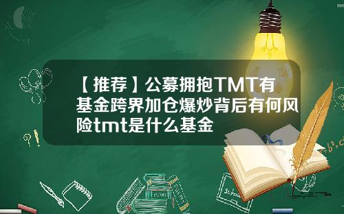 【推荐】公募拥抱TMT有基金跨界加仓爆炒背后有何风险tmt是什么基金