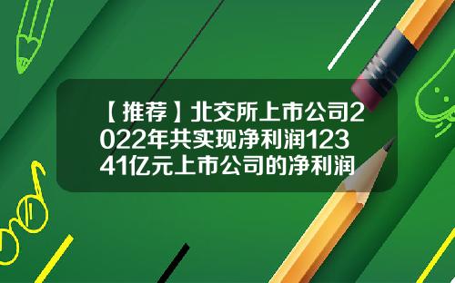 【推荐】北交所上市公司2022年共实现净利润12341亿元上市公司的净利润