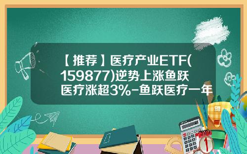 【推荐】医疗产业ETF(159877)逆势上涨鱼跃医疗涨超3%-鱼跃医疗一年涨多少