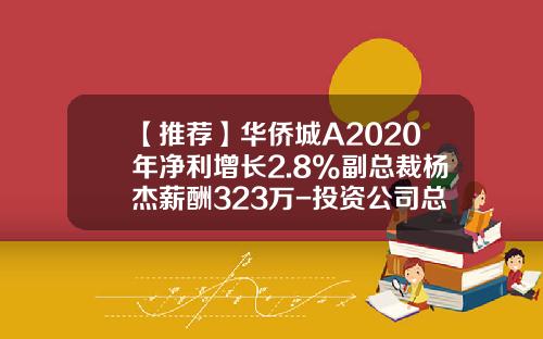 【推荐】华侨城A2020年净利增长2.8%副总裁杨杰薪酬323万-投资公司总裁年薪多少