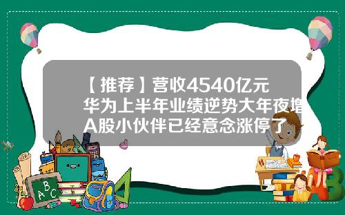 【推荐】营收4540亿元华为上半年业绩逆势大年夜增A股小伙伴已经意念涨停了