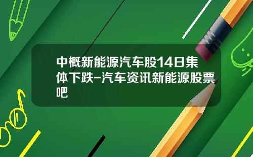 中概新能源汽车股14日集体下跌-汽车资讯新能源股票吧