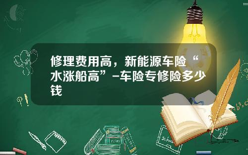 修理费用高，新能源车险“水涨船高”-车险专修险多少钱