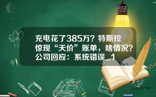 充电花了385万？特斯拉惊现“天价”账单，啥情况？公司回应：系统错误_1