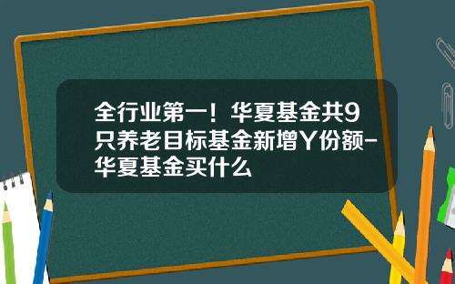 全行业第一！华夏基金共9只养老目标基金新增Y份额-华夏基金买什么