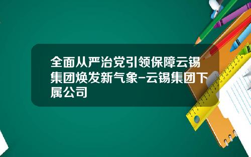 全面从严治党引领保障云锡集团焕发新气象-云锡集团下属公司