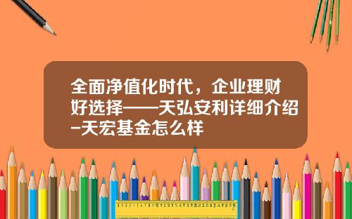 全面净值化时代，企业理财好选择——天弘安利详细介绍-天宏基金怎么样