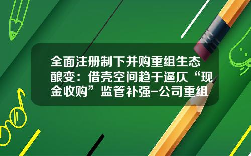 全面注册制下并购重组生态酿变：借壳空间趋于逼仄“现金收购”监管补强-公司重组并购方案