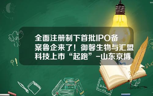 全面注册制下首批IPO备案鲁企来了！御馨生物与汇盟科技上市“起跑”-山东京博公司上市了吗