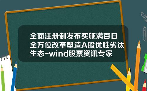 全面注册制发布实施满百日全方位改革塑造A股优胜劣汰生态-wind股票资讯专家破解版