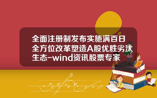 全面注册制发布实施满百日全方位改革塑造A股优胜劣汰生态-wind资讯股票专家账号注册