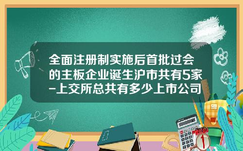 全面注册制实施后首批过会的主板企业诞生沪市共有5家-上交所总共有多少上市公司