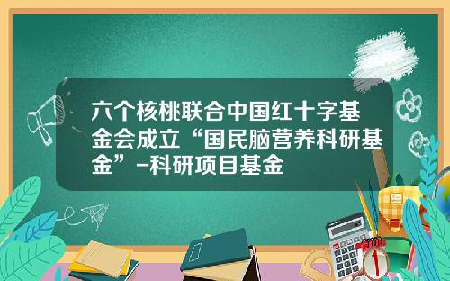 六个核桃联合中国红十字基金会成立“国民脑营养科研基金”-科研项目基金