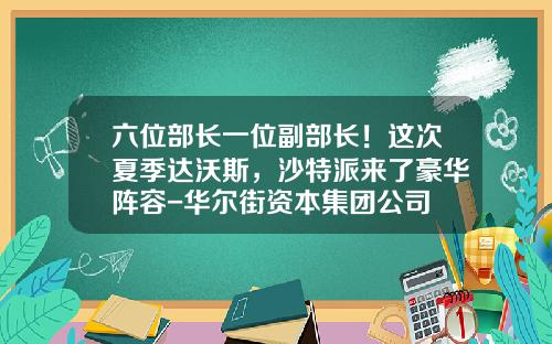 六位部长一位副部长！这次夏季达沃斯，沙特派来了豪华阵容-华尔街资本集团公司