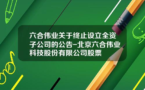 六合伟业关于终止设立全资子公司的公告-北京六合伟业科技股份有限公司股票