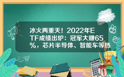 冰火两重天！2022年ETF成绩出炉：冠军大赚65%，芯片半导体、智能车等热门赛道普跌，更有2只ETF亏超40%-农业部的基金【新闻】.