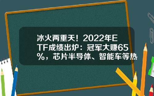 冰火两重天！2022年ETF成绩出炉：冠军大赚65%，芯片半导体、智能车等热门赛道普跌，更有2只ETF亏超40%-基金规模最小【新闻】.