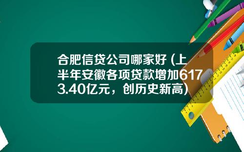 合肥信贷公司哪家好 (上半年安徽各项贷款增加6173.40亿元，创历史新高)