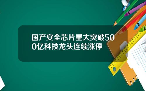 国产安全芯片重大突破500亿科技龙头连续涨停