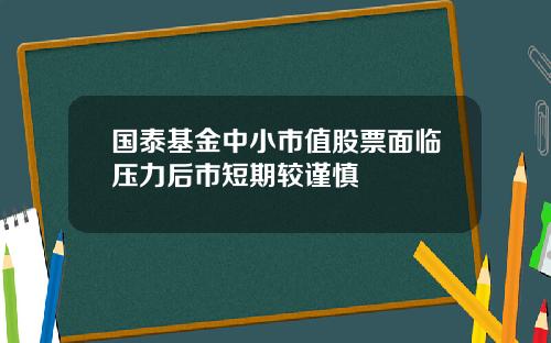 国泰基金中小市值股票面临压力后市短期较谨慎