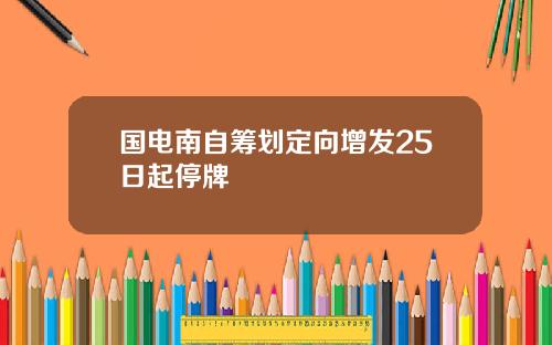 国电南自筹划定向增发25日起停牌