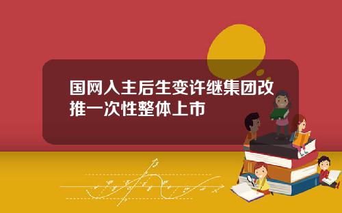 国网入主后生变许继集团改推一次性整体上市