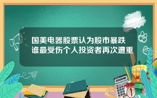 国美电器股票认为股市暴跌谁最受伤个人投资者再次遭重