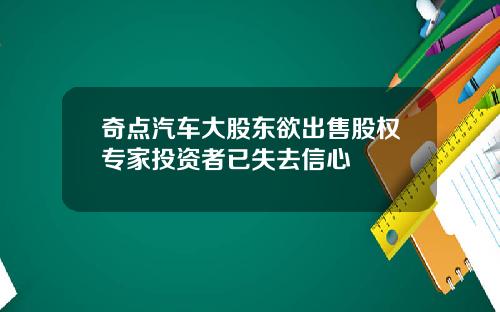 奇点汽车大股东欲出售股权专家投资者已失去信心