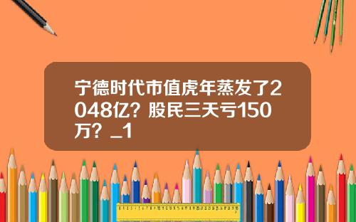 宁德时代市值虎年蒸发了2048亿？股民三天亏150万？_1
