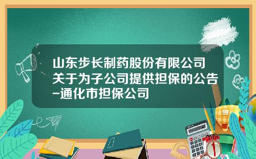 山东步长制药股份有限公司关于为子公司提供担保的公告-通化市担保公司