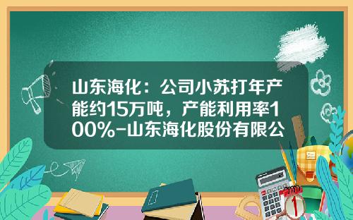 山东海化：公司小苏打年产能约15万吨，产能利用率100%-山东海化股份有限公司溴素厂