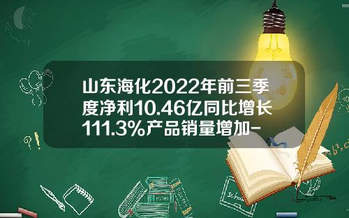 山东海化2022年前三季度净利10.46亿同比增长111.3%产品销量增加-山东海化股份有限公司溴素厂