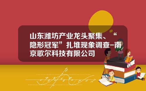 山东潍坊产业龙头聚集、“隐形冠军”扎堆现象调查-南京歌尔科技有限公司