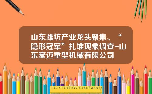 山东潍坊产业龙头聚集、“隐形冠军”扎堆现象调查-山东豪迈重型机械有限公司