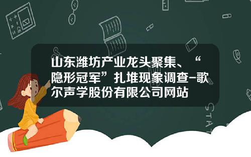山东潍坊产业龙头聚集、“隐形冠军”扎堆现象调查-歌尔声学股份有限公司网站