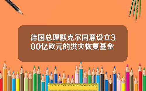 德国总理默克尔同意设立300亿欧元的洪灾恢复基金
