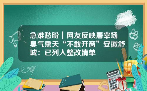 急难愁盼｜网友反映屠宰场臭气熏天“不敢开窗”安徽舒城：已列入整改清单