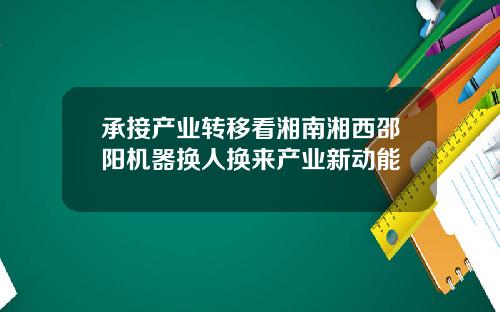承接产业转移看湘南湘西邵阳机器换人换来产业新动能