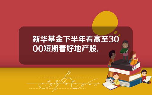 新华基金下半年看高至3000短期看好地产股.