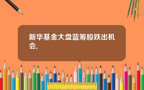 新华基金大盘蓝筹股跌出机会.