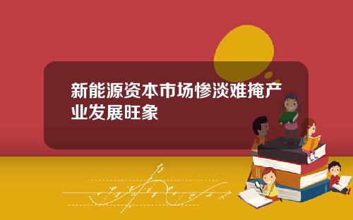 新能源资本市场惨淡难掩产业发展旺象