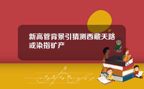 新高管背景引猜测西藏天路或染指矿产