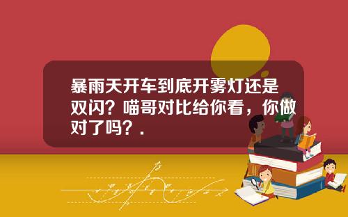 暴雨天开车到底开雾灯还是双闪？喵哥对比给你看，你做对了吗？.