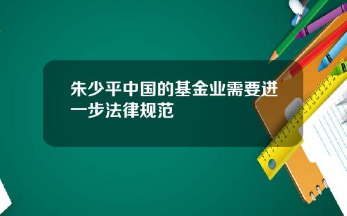 朱少平中国的基金业需要进一步法律规范