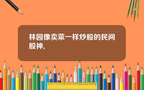林园像卖菜一样炒股的民间股神.